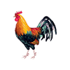 เดิมพันไก่ชน icon